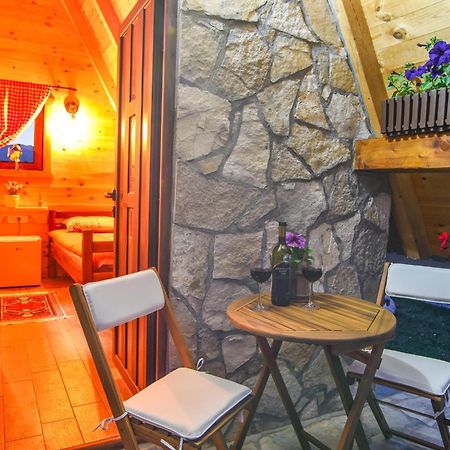 Cottages Big Bear Žabljak エクステリア 写真